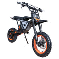 FREEBOY Y66 E-bike 3000W Motor 48V30AH Battery Electric Bike Max Speed: 55KM/H 12/10-In All-terrain Fat Tires Electric Bicycle