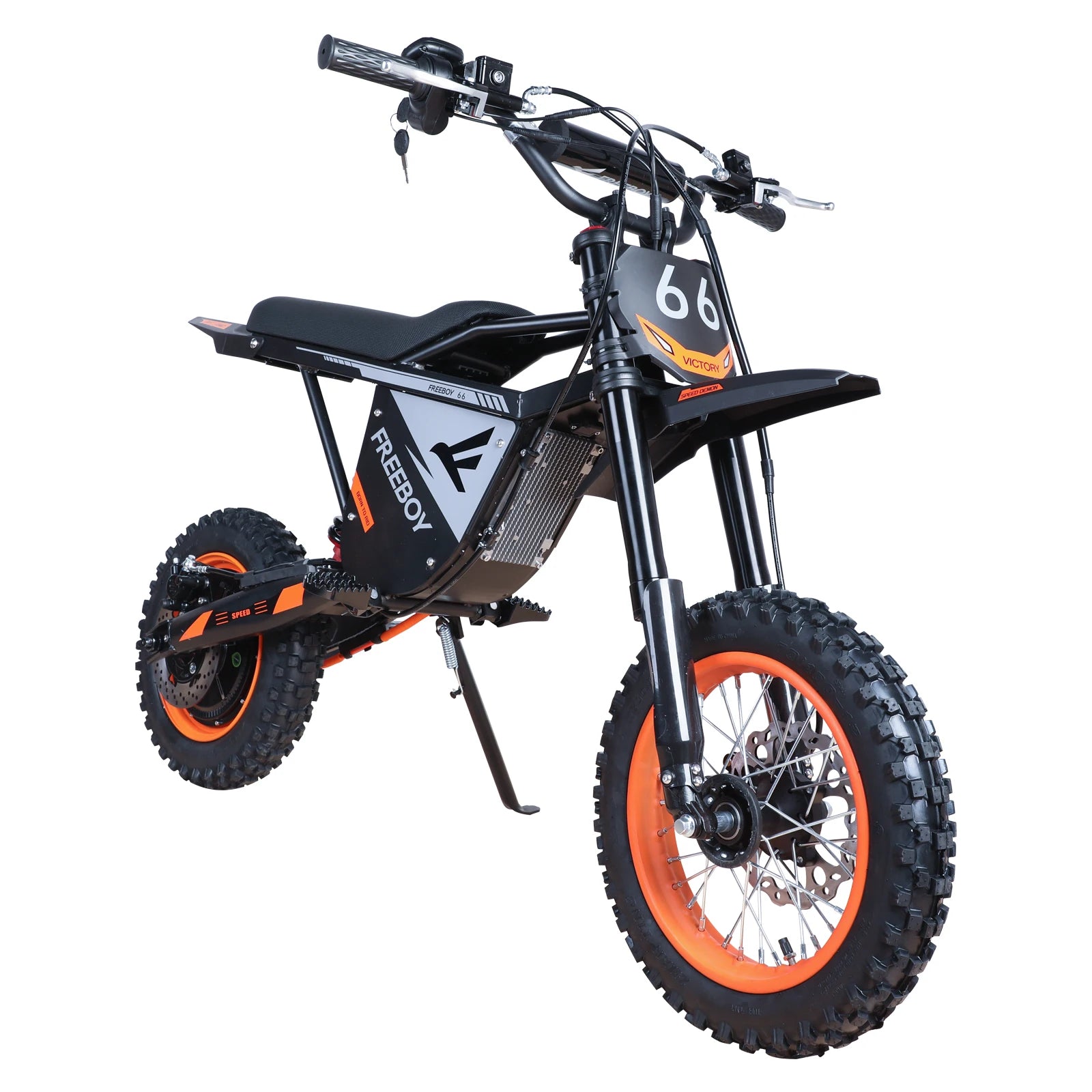 FREEBOY Y66 E-bike 3000W Motor 48V30AH Battery Electric Bike Max Speed: 55KM/H 12/10-In All-terrain Fat Tires Electric Bicycle