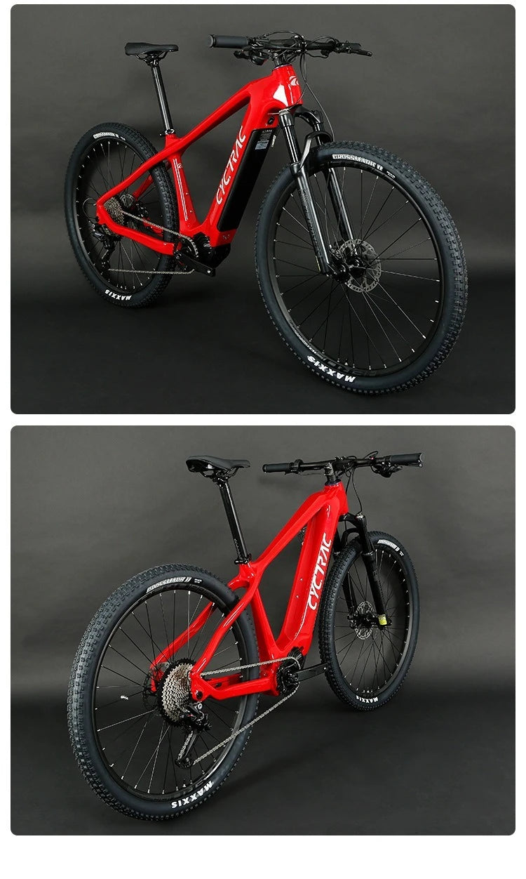 Top Quality Carbon Electric Bike Bafang M510 Mid Motor 250W Mountain Bicycle 29 Inch EMTB With Hidden Battery For Men