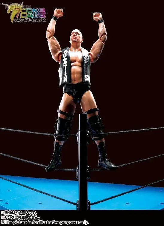 BANDAI Original S.H.Figuarts WWE The Rock (Dwayne Johnson) Movable Action Figure Collectible Model Toy Gift for Boys