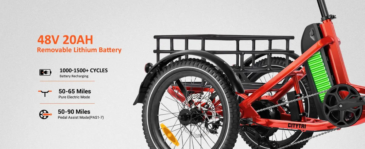 Folding Electric Trike E-310 Plus ADDMOTOR 750W 48V 20Ah 3 Wheel E-bikes