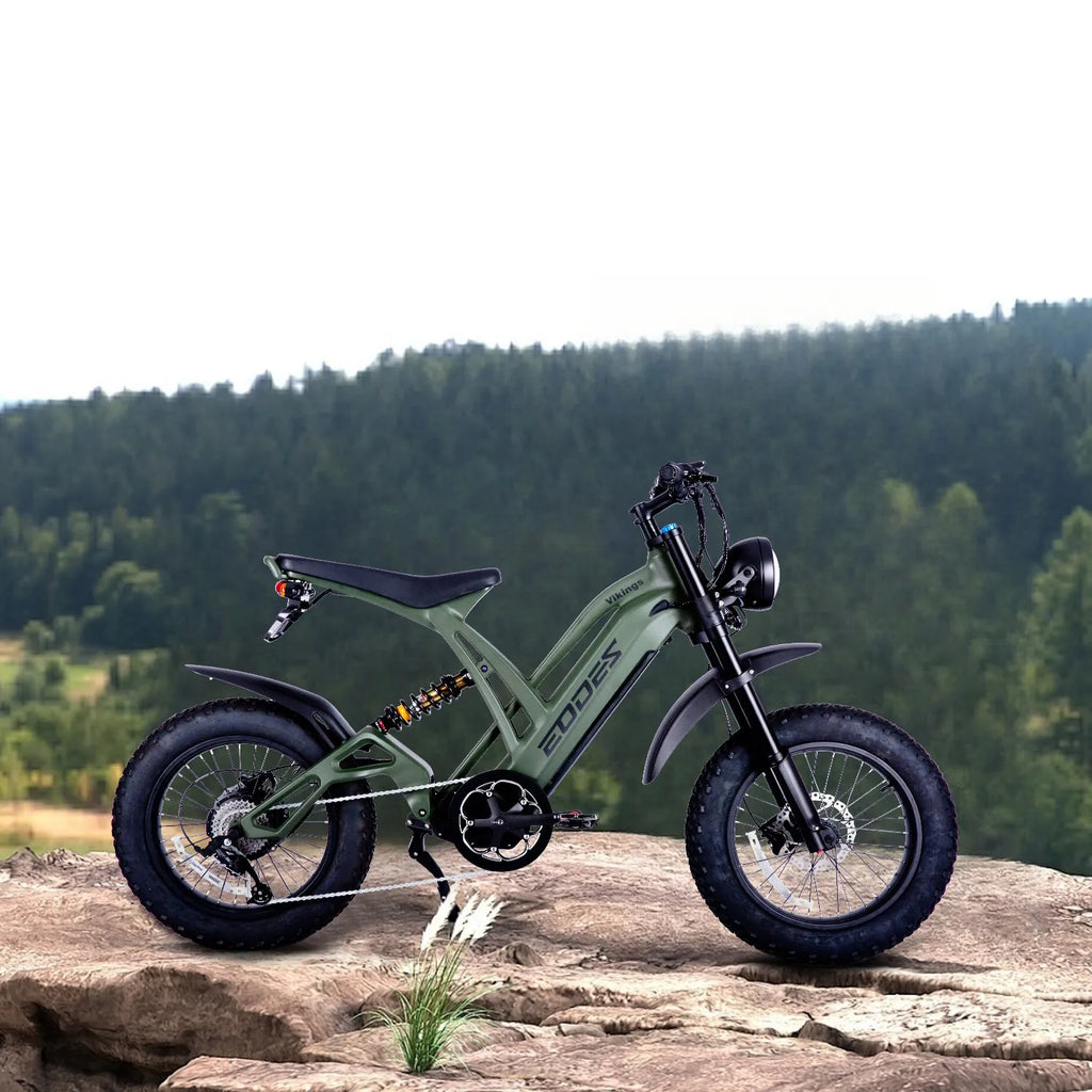 New 20" ELECTRIC BIKE 1000W 52V 20AH UP TO 32KM/H E-BIKE & Torque sensor  USA