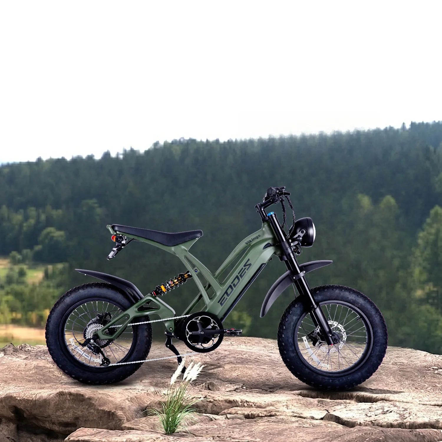 New 20" ELECTRIC BIKE 1000W 52V 20AH UP TO 32KM/H E-BIKE & Torque sensor  USA