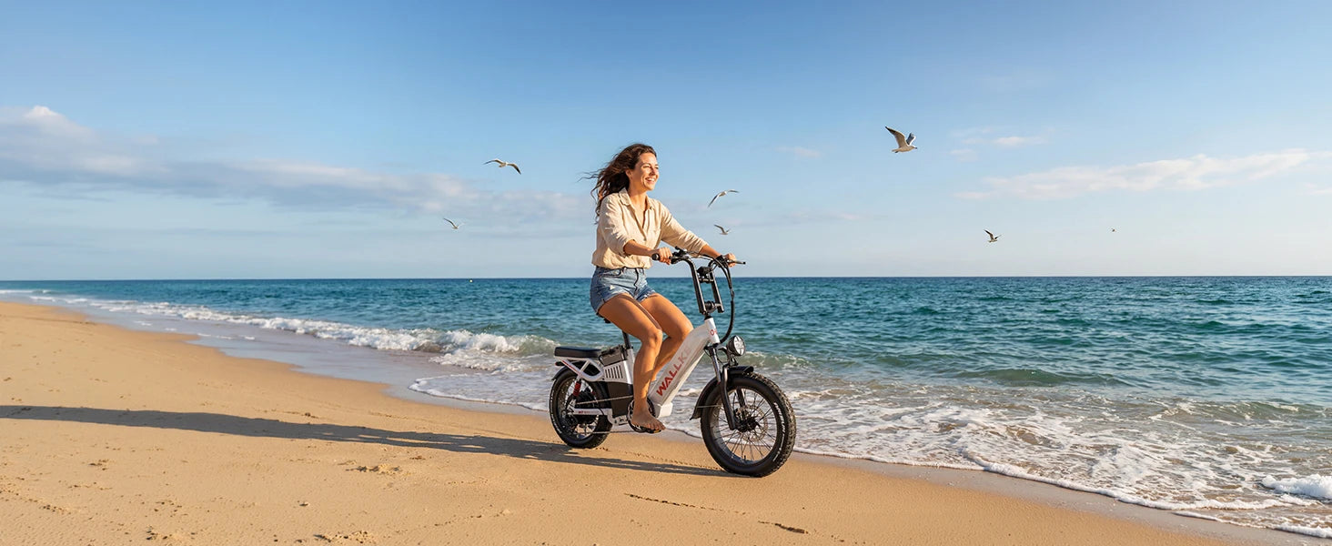 H7 Ultra 4000W Long Range Electric Bike for Adults, Solar Charge Supported Fat Tire E-Bike with Portable Power Output, Al