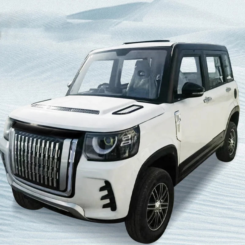 Elderly Electric Suv Electric China 2000W 3000W 5000W  Passenger Car New China  Suv