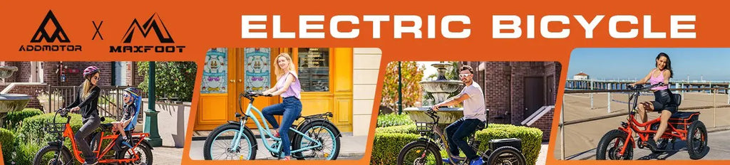 E-310 Plus Folding Electric Trike 750W 48V 20Ah 3 Wheel E-bikes