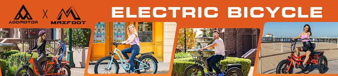 E-310 Plus Folding Electric Trike 750W 48V 20Ah 3 Wheel E-bikes