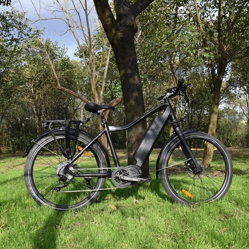 SXLL City Recreational Bike Electric Adult Mountain Bike 1000w 27.5 inch Electric Bike