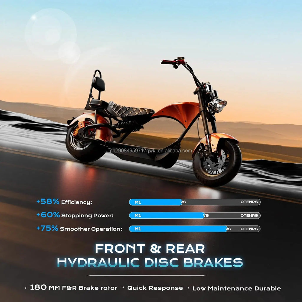 Custom 2000W 2 Seaters Electric Motorcycle Chopper Street Mopeds Motor Bike 60V 12-45Ah Long Range