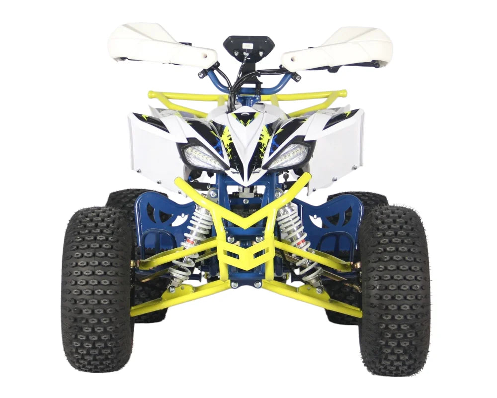 Factory Direct Sale High Cost-Effectiveness Electric ATV Can Choose 48V60V with Ce Certification