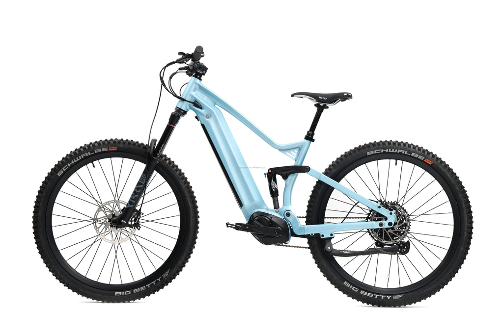 ATV&UTVRoarer Electric MTB Factory 48V20Ah Lithium Battery Bafang M620 Mid Drive 750W 1000W Hardtail Electric Mountain Bike