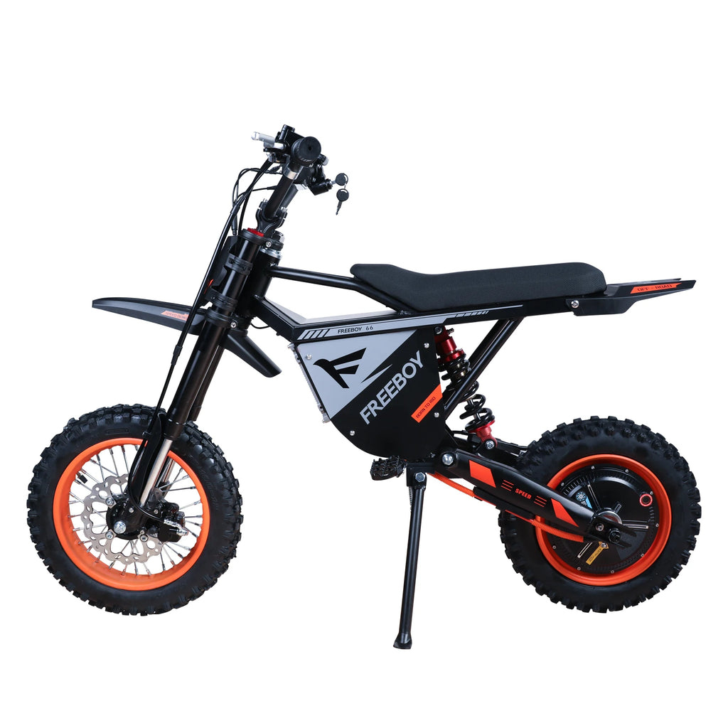 FREEBOY Y66 E-bike 3000W Motor 48V30AH Battery Electric Bike Max Speed: 55KM/H 12/10-In All-terrain Fat Tires Electric Bicycle