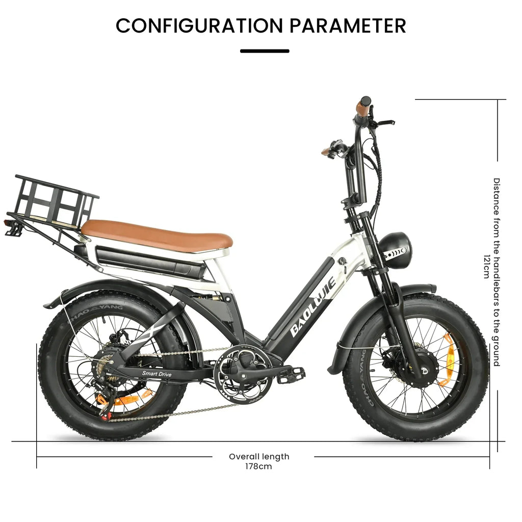 Baolujie DP2033 Electric Bicycle 2000W Dual Motor 48V30AH Lithium Battery E-bike 20*4 Inch Fat Tire Mountain Cargo Electric Bike