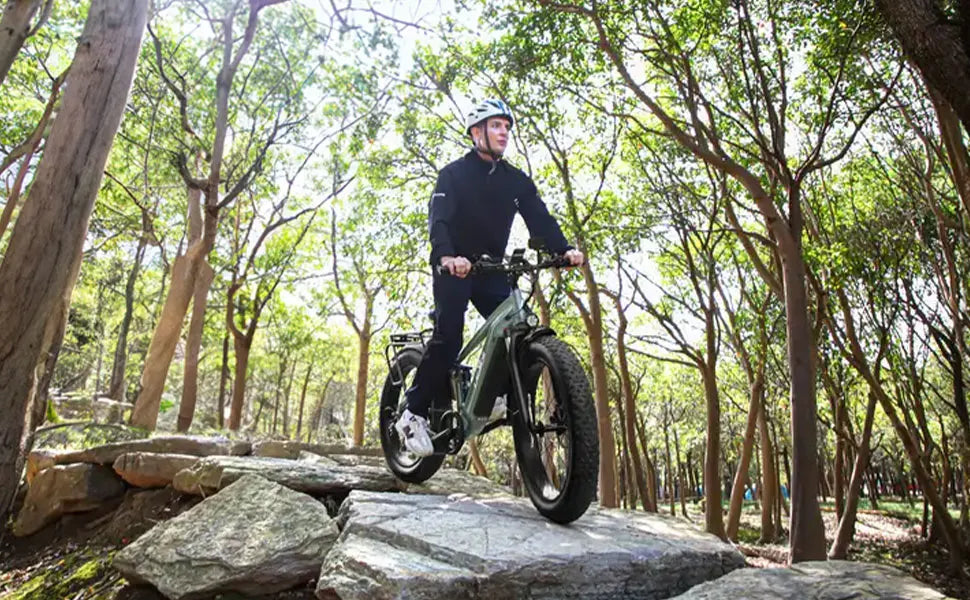 Lacros Thunder adult E-bike，750W city ebike，48V20AH Electric Bicycle，26 Fat Tire E-Mountain bike