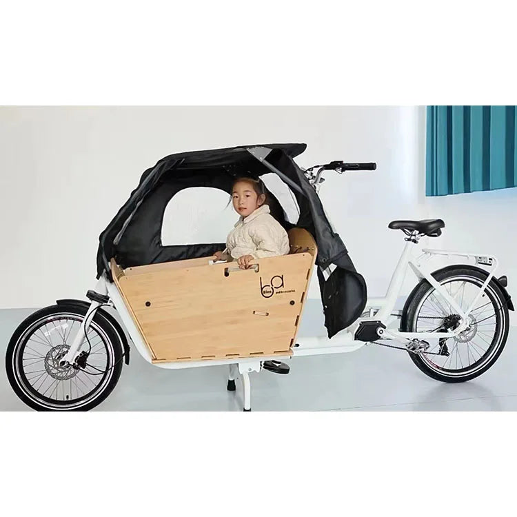 20'' Big Volume Two Wheels Pets Kids Carrier Goods Electric Bicycle Long Family Cargo Ebike Cargo Bike Electric