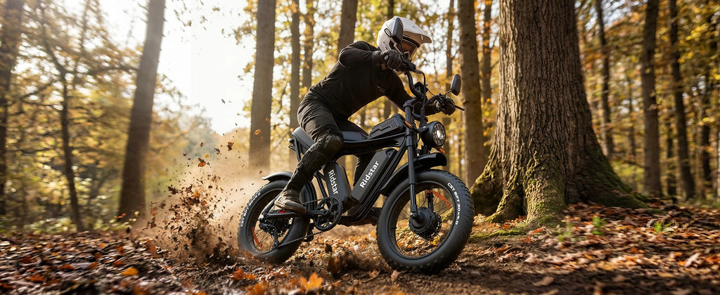 RIDSTAR PRO30 4000W Electric Bike for Adults 33MPH 48V 40AH 20x4" Fat Tire Dirt Bike Shimano 7-Speed E-Bike Commuter Motorcycle