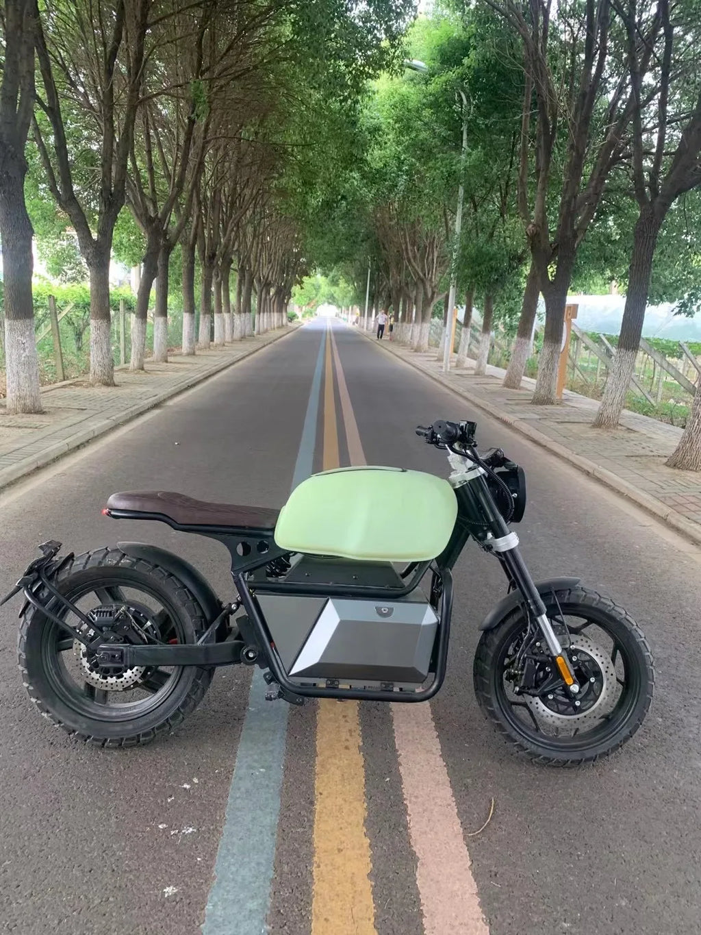 Wuxi Retro Electric Motorbike Adults 2000W 5000W Power Range 8000W Max 72V Lithium Battery EEC Certificate Off-Road Motorcycles
