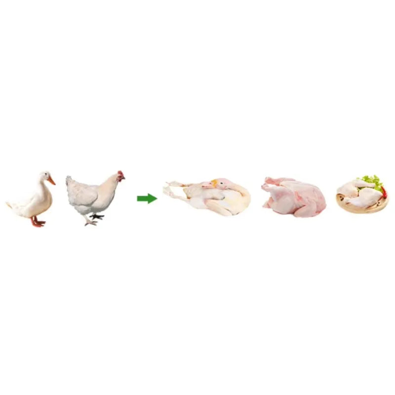 Custom 1000-2500 CE Approved Chicken Duck Poultry Slaughtering Production Line Halal Slaughter House Machine