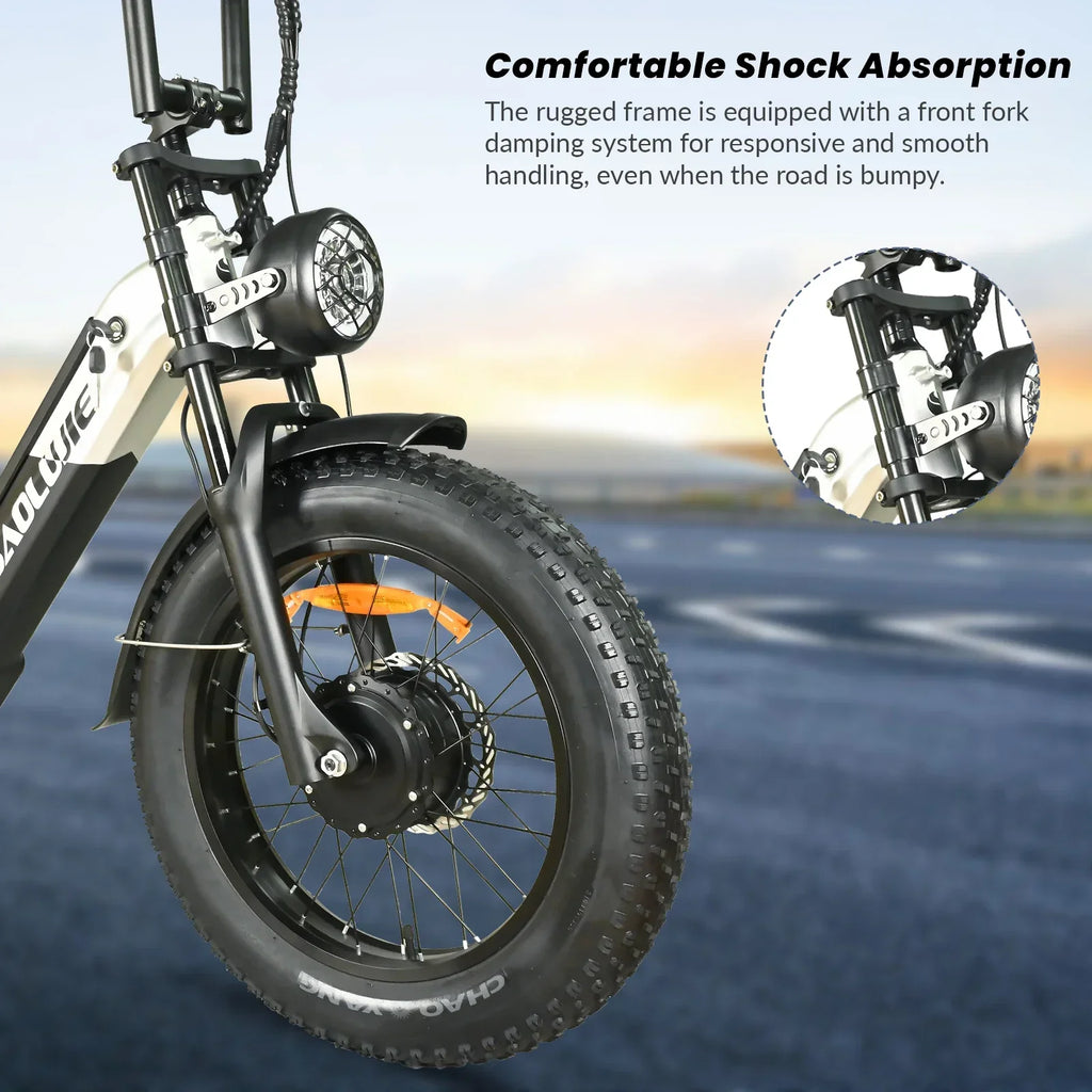 Baolujie DP2033 Electric Bicycle 2000W Dual Motor 48V30AH Lithium Battery E-bike 20*4 Inch Fat Tire Mountain Cargo Electric Bike