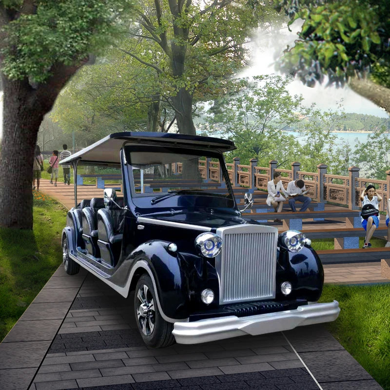 8 seats of the latest popular Chinese electric classic car electric car for sale