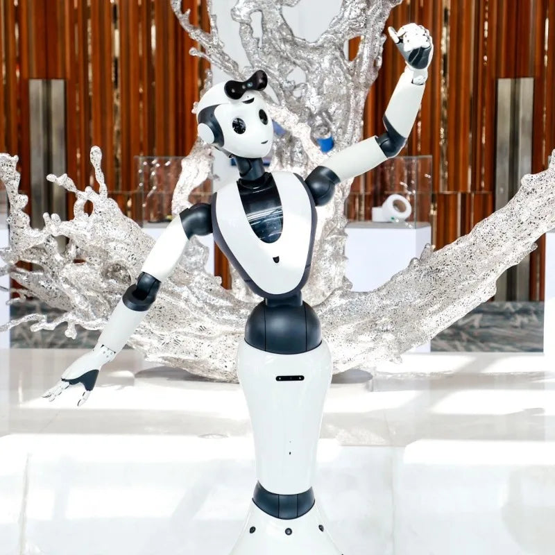 Welcome to explain XR1 interactive robot, humanoid bionic robot