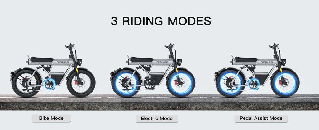 20-inch Wide Tires 2100W Motor 60V 27.5Ah Electric Bike with Removable Battery for Adult 2-wheel Electric Bicycle COSWHEEL CT20S