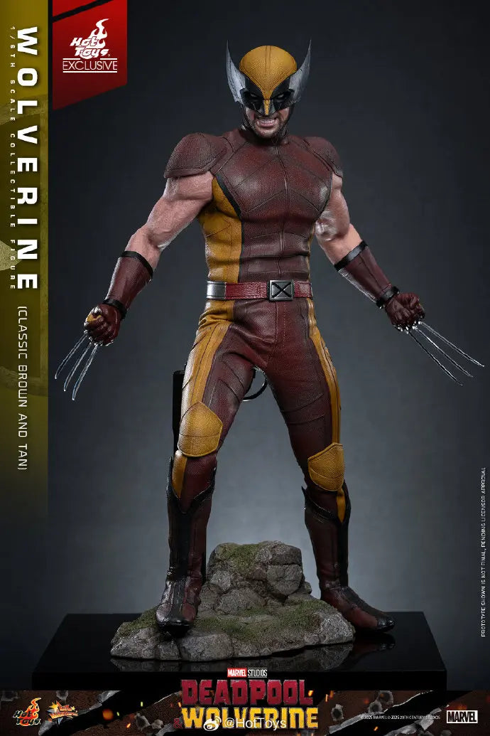 In Stock HotToys MMS831 Wolverine Classic Brown and Tan 1/6 Soldier Figure Animation Action Figure Toy Gift Model Collection
