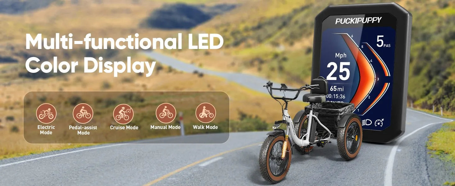 Electric Tricycle for Adults Fat Tire 3 Wheel Electric Trike 960W 55Miles E-Bike