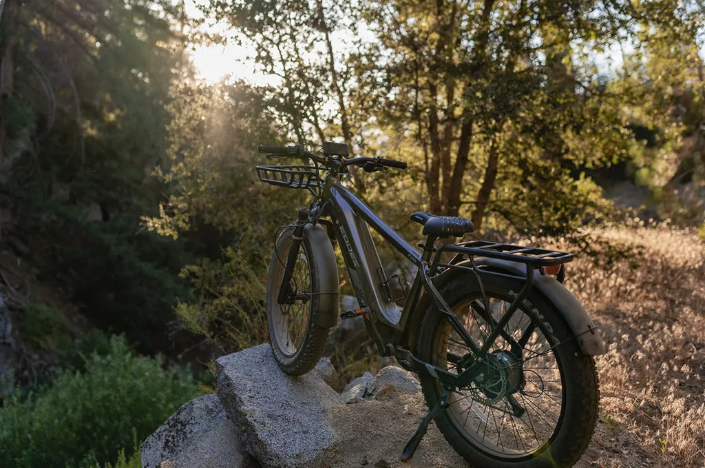 26" MOUNTAIN-ELECTRIC BIKE 750W 52V 17AH UP TO 32KM/H E-BIKE & Torque sensor