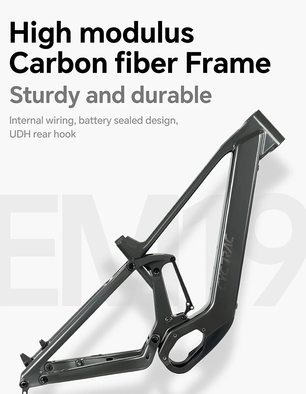 TWITTER EM19 Carbon FiberElectric assistance Bike 250W36V/48VNew21700Battery E-bike M6100 12S Adult All-Terrain Electric Bicycle