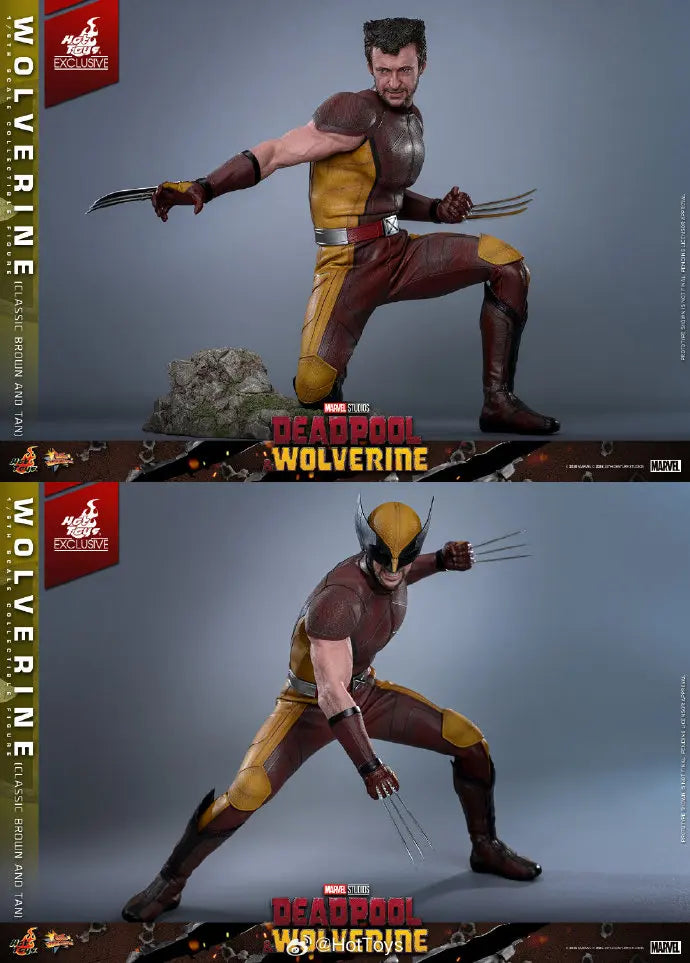 In Stock HotToys MMS831 Wolverine Classic Brown and Tan 1/6 Soldier Figure Animation Action Figure Toy Gift Model Collection