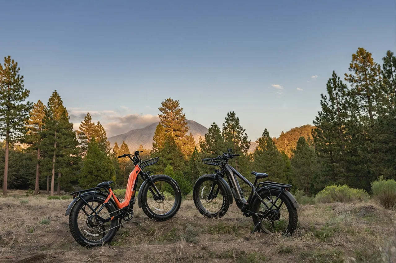 New 20" ELECTRIC BIKE 1000W 52V 20AH UP TO 32KM/H E-BIKE & Torque sensor  USA