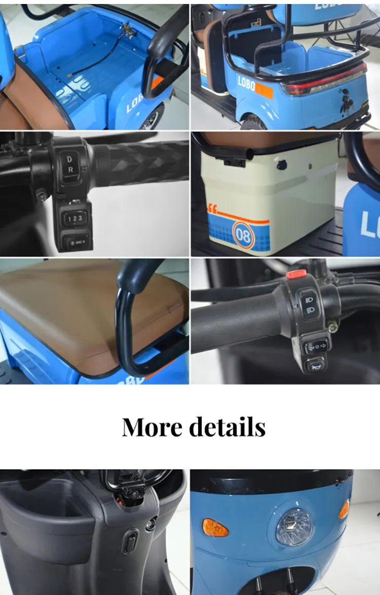China Manufacturer Factory Price 800W Electric Tricycle for Adults, Passenger Electric Three Wheels Bike