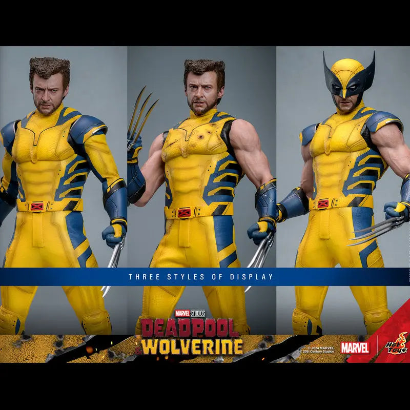 Hottoys Wolverine 1/6 Scale Action Figure MMS754 Deluxe Edition Deadpool And Wolverine Marvel Movie Collectible For Adult Fans