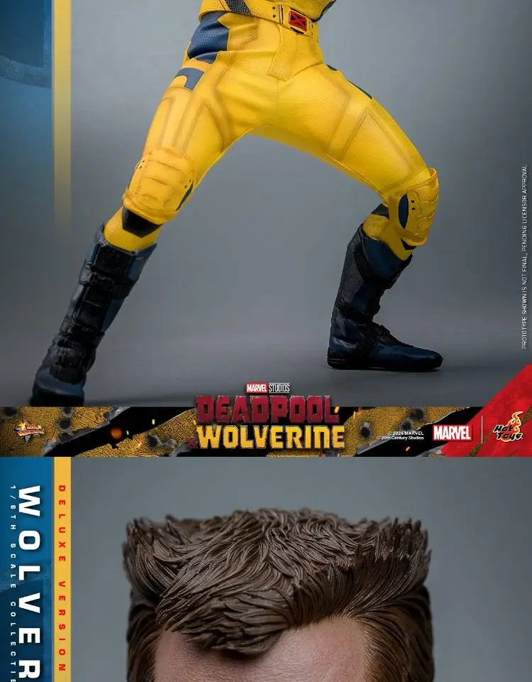 Hottoys Wolverine 1/6 Scale Action Figure MMS754 Deluxe Edition Deadpool And Wolverine Marvel Movie Collectible For Adult Fans