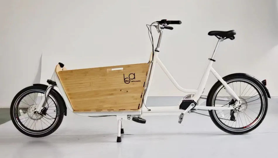 20'' Big Volume Two Wheels Pets Kids Carrier Goods Electric Bicycle Long Family Cargo Ebike Cargo Bike Electric