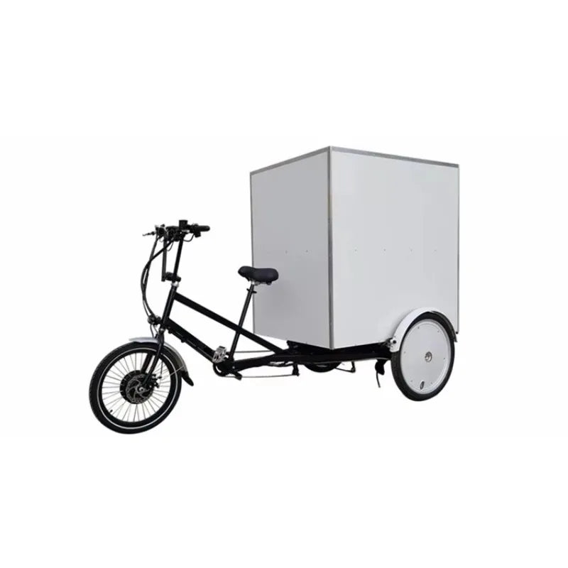 Electric tricycle tricycle pedal assist electric taxi bicycle