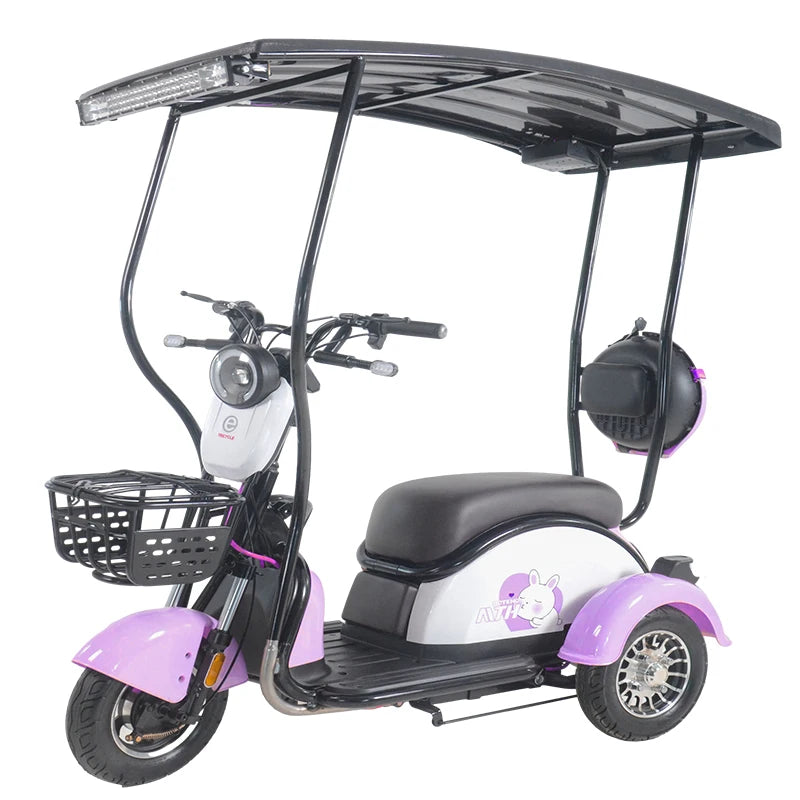 China Hot Selling 3 Wheel Scooter Adult Electric Motorcycle for Sale 3 Wheel Solar Tricycle With Roof