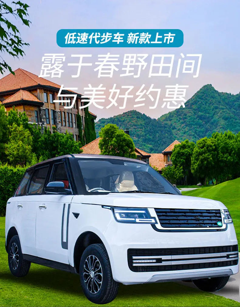 Laotou Le electric four-wheeler scooter new energy oil and electricity dual-purpose car small four-wheel battery car