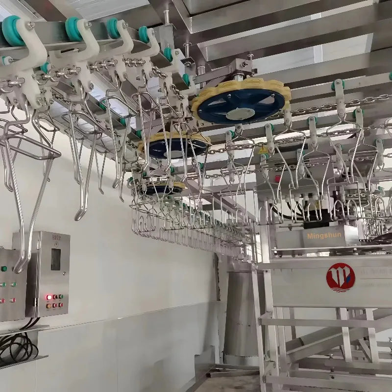 Custom 1000-2500 CE Approved Chicken Duck Poultry Slaughtering Production Line Halal Slaughter House Machine