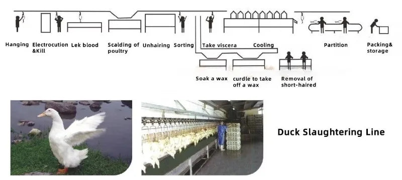 Custom 1000-2500 CE Approved Chicken Duck Poultry Slaughtering Production Line Halal Slaughter House Machine