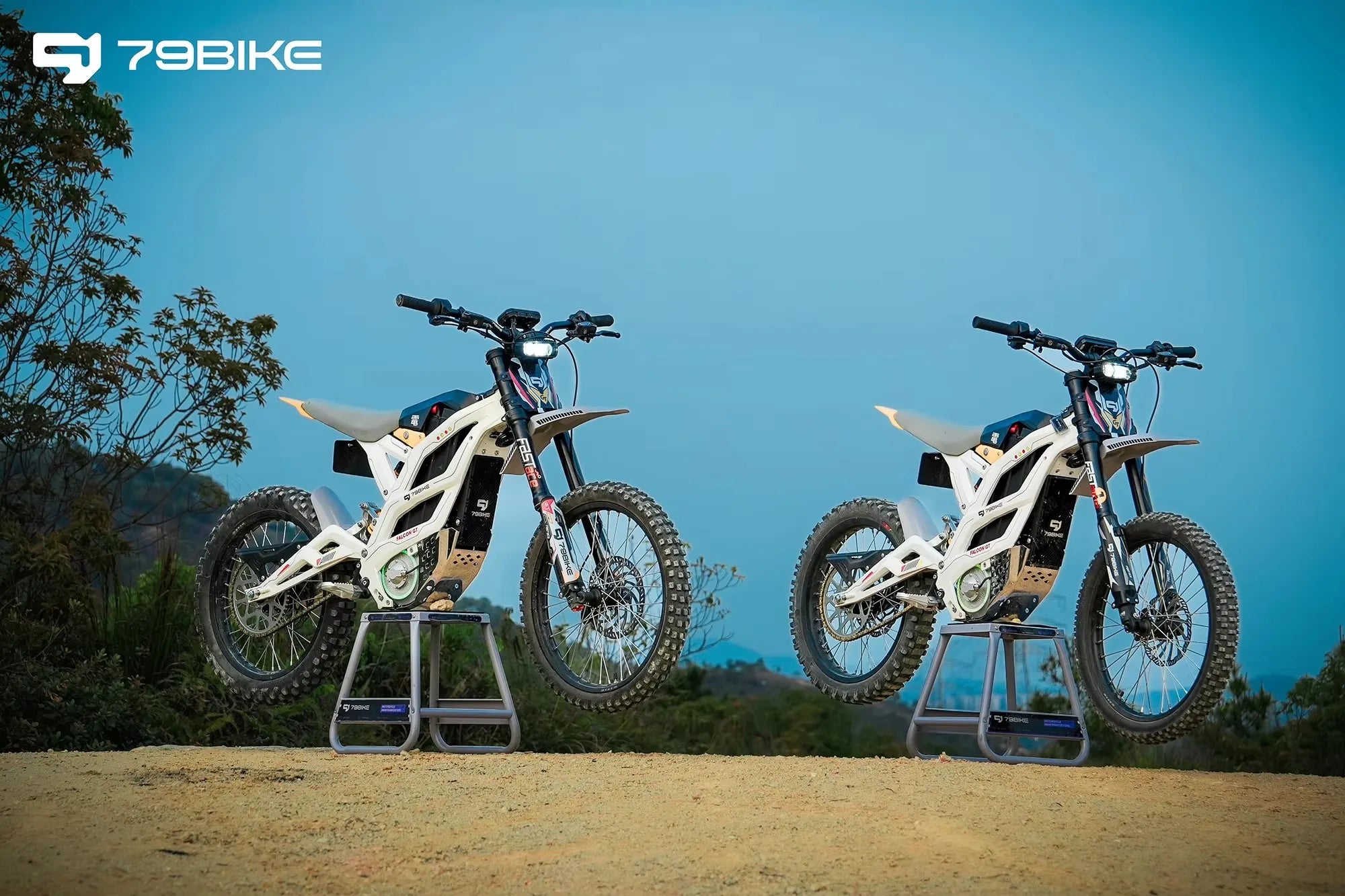ATV&UTVHigh Power Falcon GT 16.8kW 95km/h Electric Off-Road Dirt Bike Motorcycle for 2025 72V Aluminum Alloy Frame