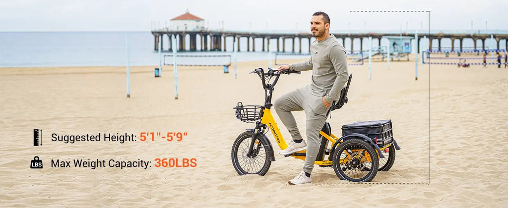 -310 Folding 3Wheel E-bike Electric Trike 750W 20Ah 90MI Adult
