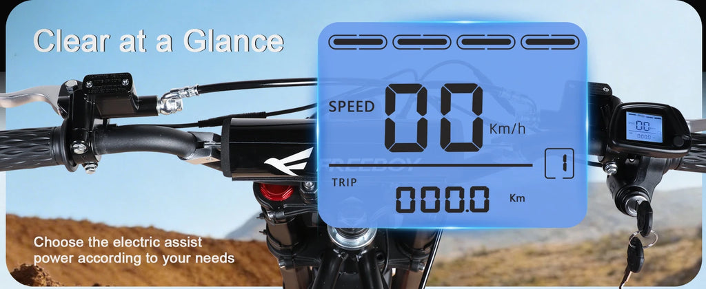 FREEBOY Y66 E-bike 3000W Motor 48V30AH Battery Electric Bike Max Speed: 55KM/H 12/10-In All-terrain Fat Tires Electric Bicycle