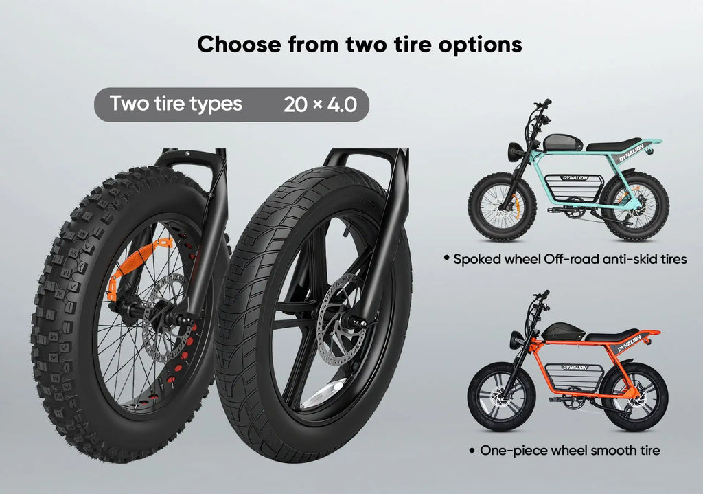 D185 Fatbike Electric Fat Tire Tyre Bike Electric Mountain Bike Front Suspension Off-road Adult E Electric Dirt Bike E-bike Dirt