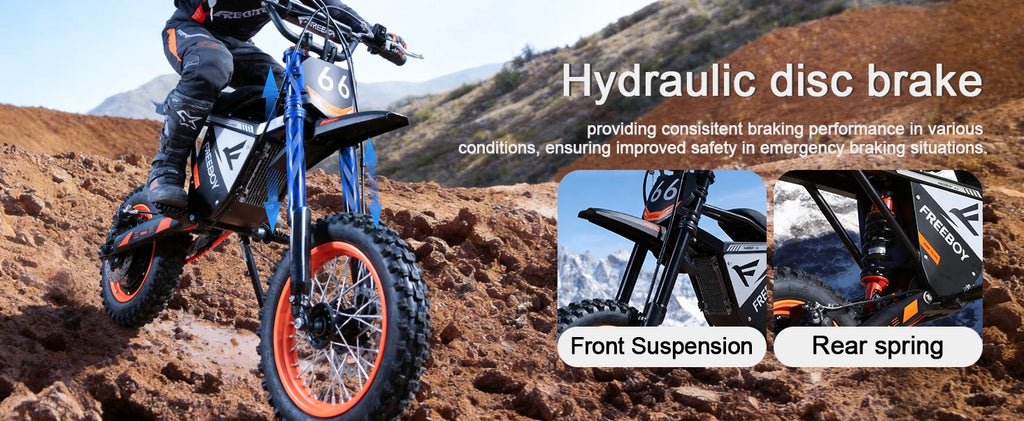 FREEBOY Y66 E-bike 3000W Motor 48V30AH Battery Electric Bike Max Speed: 55KM/H 12/10-In All-terrain Fat Tires Electric Bicycle