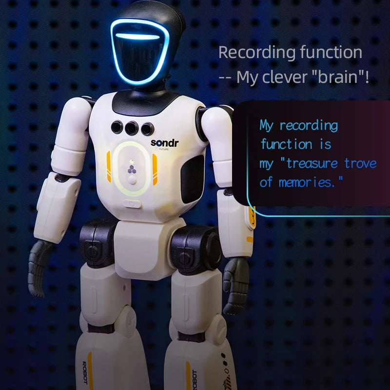Smart Programming Humanoid Gesture Sensing Remote Control Robot 2.4G Joint Mobility Breathing Light Recording Function RC Robot
