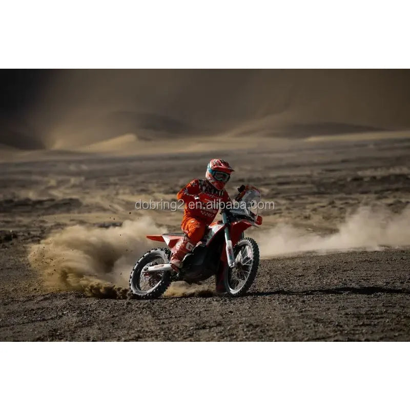 2025 Arctic Leopard E-X 800 800Nm Electric Motorcycle Powerful Mountain Bike Genre 115km/h