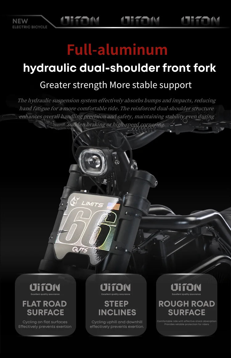 Diton S-300 60V 3000W Electric Bike | 25Ah Remote Battery | Powerful Motor, Off-Road Electric Bike for Outdoor Lovers