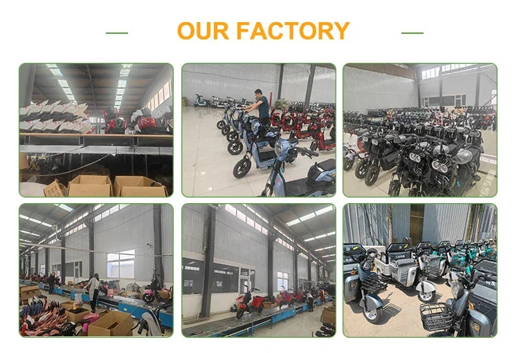 High-end High Quality 36V Mid Drive Electric City Bike 250W Power 48V Snow Model 15ah Cheap China Mid Motor Central Positi